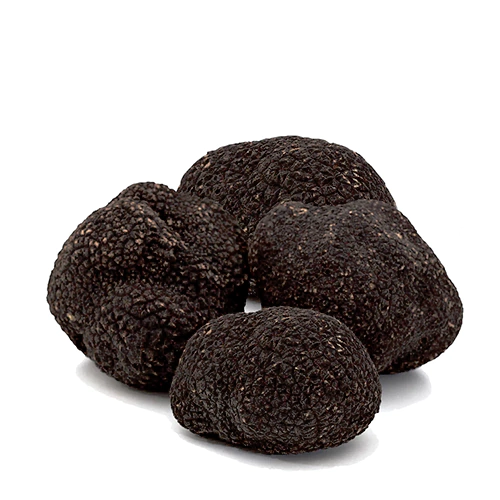 Fresh Black Winter Truffles