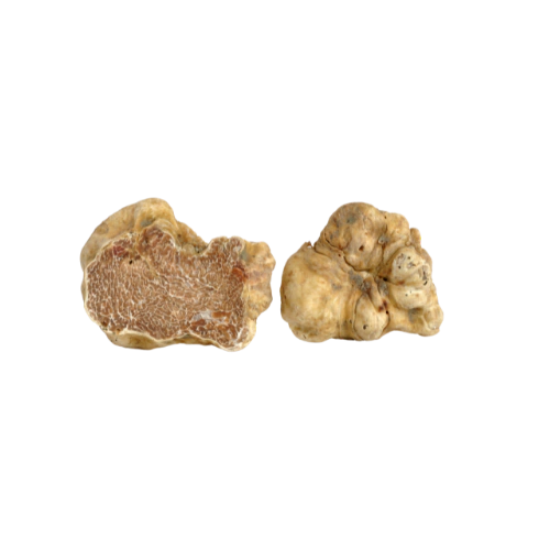 White Truffle